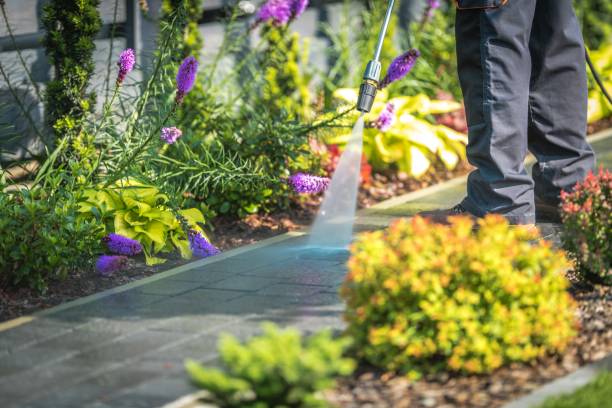 Best Dumpster Area Cleaning  in Sneads, FL
