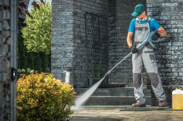 Best Roof Washing  in Sneads, FL